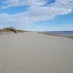 Les Cyprès D'or *